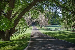 Toorongo River Sanctuary