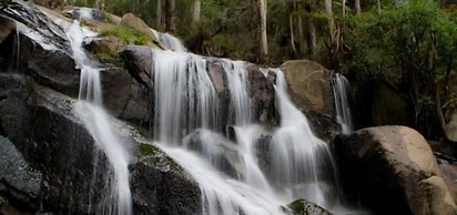 Toorongo River Sanctuary