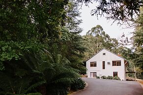 Toorongo River Sanctuary