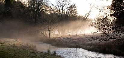 Toorongo River Sanctuary