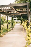 Al Sawadi Beach Resort & Spa