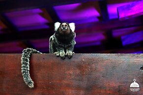 Che Lagarto Paraty - Hostel