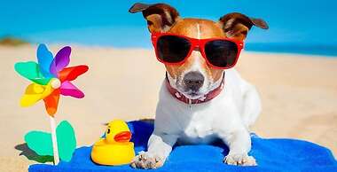 Pacific Paradise Motel