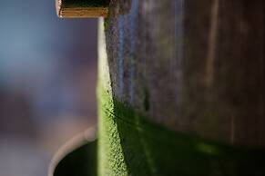 Nakanobo Zuien - Adults Only