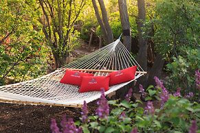 Inn Of The Turquoise Bear