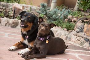 Inn Of The Turquoise Bear