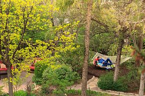 Inn Of The Turquoise Bear