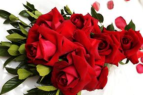 Hotel Dan Inn Campinas Anhanguera By Nacional Inn