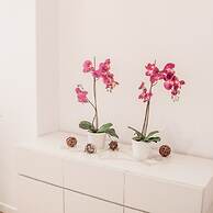 San Polo Design Apartments