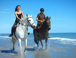 On the Beach Guesthouse