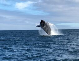On the Beach Guesthouse