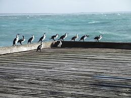 King Island Accommodation Cottages