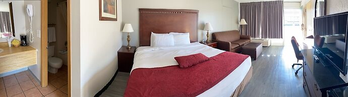 Willow Tree Inn