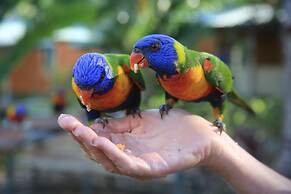 Tasman Holiday Parks - Airlie Beach