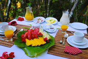 Aldeia da Mata Eco Lodge