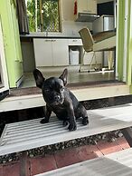 Kipara Tropical Rainforest Retreat