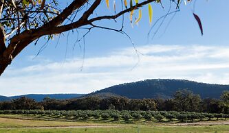 Eco-luxe at Mount Avoca