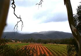 Eco-luxe at Mount Avoca