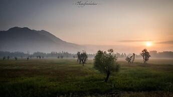 WelcomHeritage Gurkha Houseboats