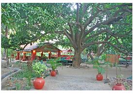 WelcomHeritage Maharani Bagh Orchard Retreat