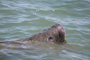 Lorelei Resort Motel