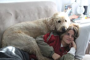 Lorelei Resort Motel