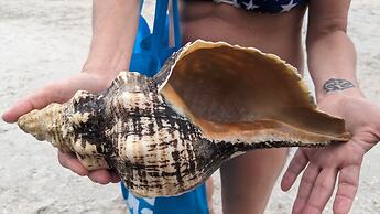 Lorelei Resort Motel