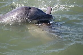 Lorelei Resort Motel