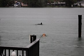 Lorelei Resort Motel