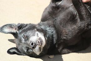 Lorelei Resort Motel