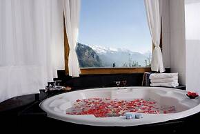 Solang Valley Resort