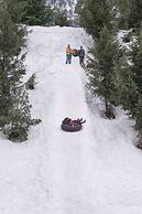 Solang Valley Resort