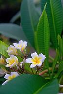 Konokono Beach Resort and Isaraya Over Water Villa