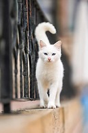 Nature Park Cave Hotel