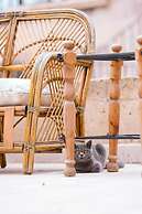 Nature Park Cave Hotel