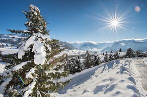 Hotel Le Grand Chalet Gstaad