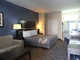 Regency Inn & Suites - Baytown