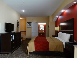 Regency Inn & Suites - Baytown