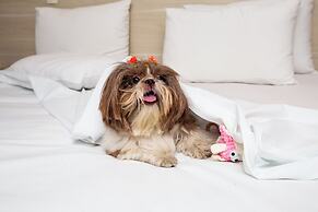 Transamerica Fit Villa Lobos