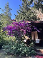 Kibala Hotel - Boutique Class