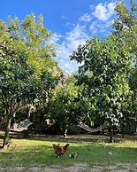 Kibala Hotel - Boutique Class