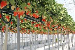 Mercure Kyoto Miyazu Resort & Spa