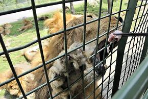 Grand Mercure Beppu Bay Resort & Spa