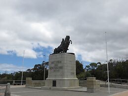 Albany Motel & Apartments