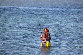 Albany Motel & Apartments