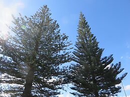 Albany Motel & Apartments