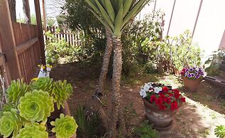 Cala Bona & Mar Blava Hotels