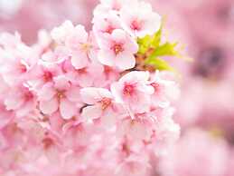 APA Hotel Akasaka Mitsuke