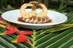 Hotel Tropico Latino