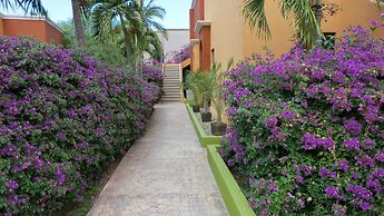 Hotel Palmas De Cortez